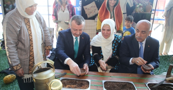 Kocaeli’nde Üretilen Biberiye Ayçiçek Yağında Kullanılacak