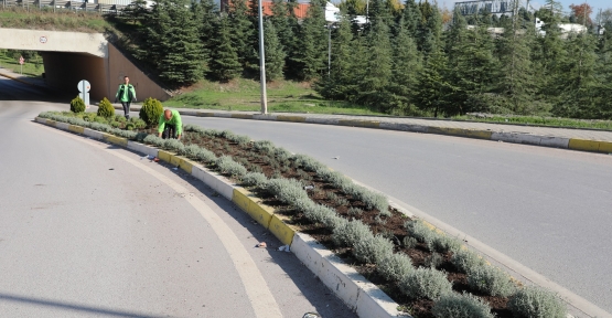 Körfez’de Atıklar Yeşile Dönüşüyor