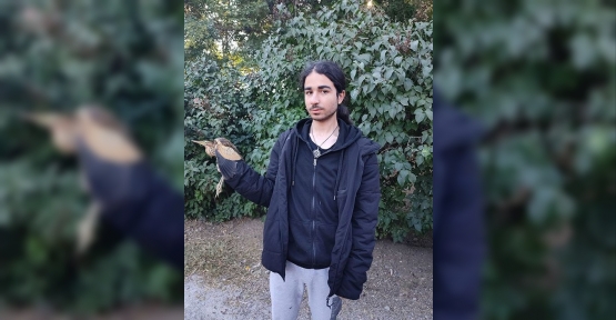 Körfezli Üniversite Öğrencisi Ağaca Asılı Halde Bulundu
