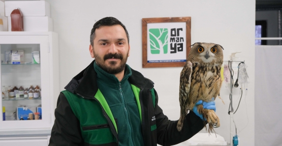 Binlerce Yaban Hayvanı Hayata Döndürüldü