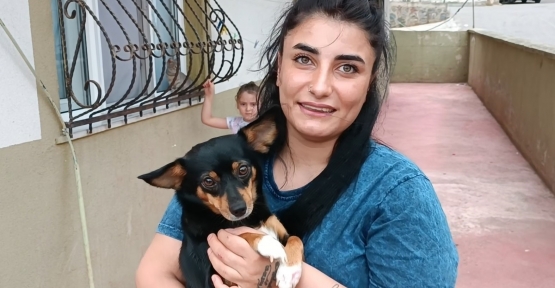 HAMİLE KADINA MEYDAN DAYAĞI
