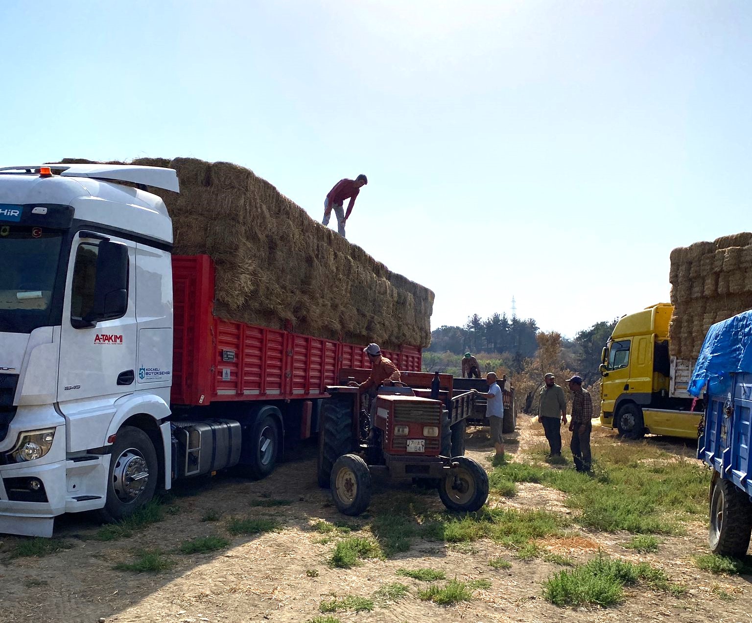    Kocaeli’den, Çanakkale’deki Yangın Mağduru Çiftçilere Destek   