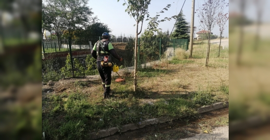 Körfez’de Yabani Otlarla Mücadele Sürüyor