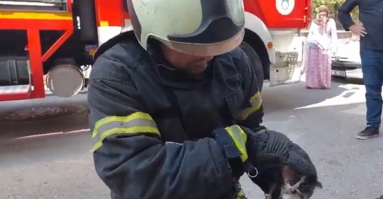 Lavaboya Sıkışan Yavru Kedi Kurtarıldı