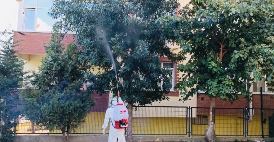 Okul Bahçelerindeki Ağaçlar İlaçlanıyor