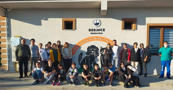 Sokak Hayvanları Bu Merkezde Şifa Buluyor