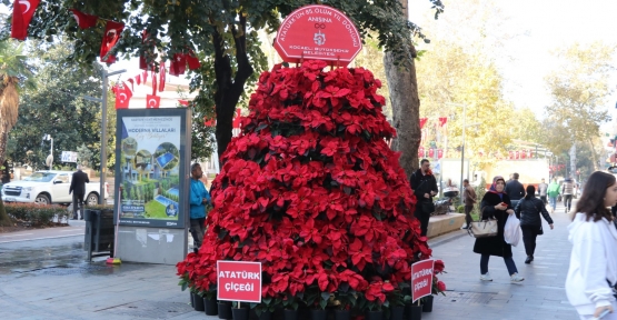 BÜYÜKŞEHİR’DEN 85. YILDA 1085 ATATÜRK ÇİÇEĞİ