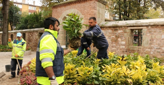    Yenilenen ve Yeşillenen Yeni Cuma Avlusu