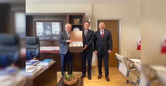 Derince'ye Modern Hayvan Satış Yeri Ve Kurban Kesim Alanı Yapılacak