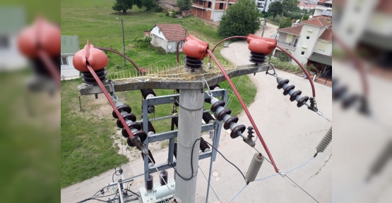 Leylekler İçin Elektrik Direklerinde Güvenlik Tedbirleri Alındı