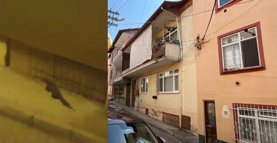 Binalara Tırmanan Sansarı Görenler Şaşkına Döndü