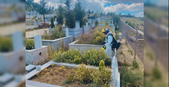Körfez’de Mezarlıklara Bakım Çalışması