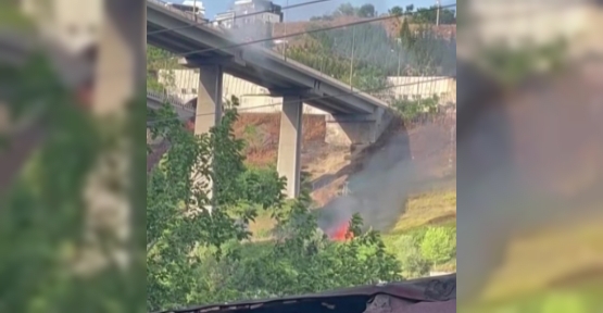 ARAÇTA BAŞLAYAN YANGIN AĞAÇLIK ALANA SIÇRADI