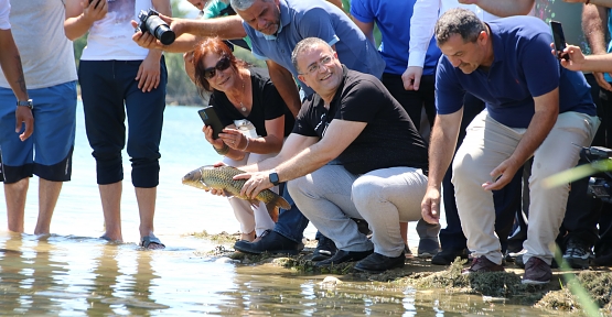 İstilacı Balıklar Bertaraf Edildi