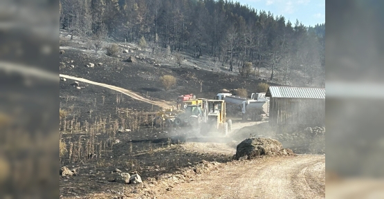KÖRFEZ BELEDİYESİ'NDEN ANKARA VE BOLU ARASINDAKİ YANGINA DESTEK