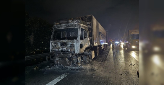 ALEV ALEV YANAN MUZ YÜKLÜ TIRDAN GERİYE DEMİR YIĞINI KALDI