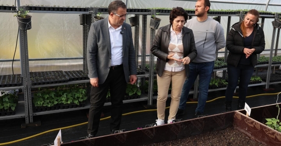DERİNCE BELEDİYESİ KENDİ SERASINI KURDU