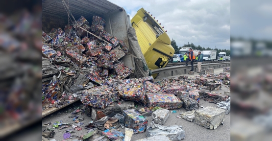 TEM'DE YAN YATAN TIRDAN SAÇILAN HURDALAR TRAFİĞİ FELÇ ETTİ