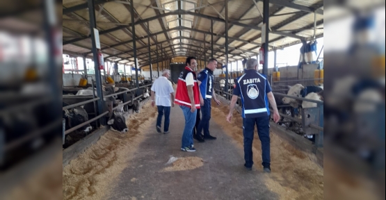 Kartepe’de Kurban Kesim Yerleri Denetleniyor