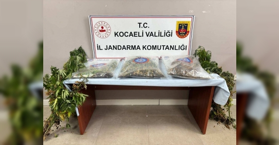 556 Kök Kenevir Ve 5 Kilo Skunk Ele Geçirildi: 2 Şüpheli Tutuklandı