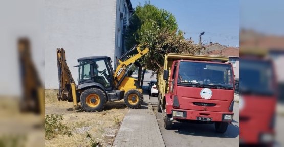 Bitkisel Atıklar Doğaya Geri Kazandırılıyor