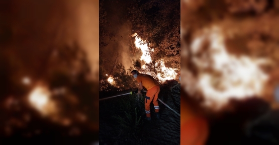 GEBZE'DE GECE YARISI ORMAN YANGINI: 7 DÖNÜM ALAN KÜL OLDU