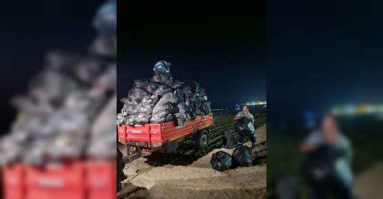 Kandıra Sahillerinde 992 Ton Çöp Toplandı