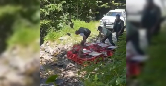 Kene İle Mücadele Timleri Doğaya Salındı