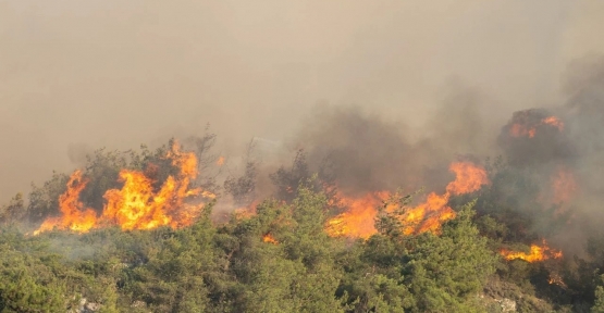 Komşudaki Yangına Çok Sayıda Araç Ve Ekiple Müdahale