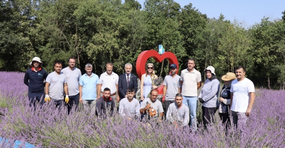 Tarlada Lavanta, Şişede Kolonya, Yürekte Emek..