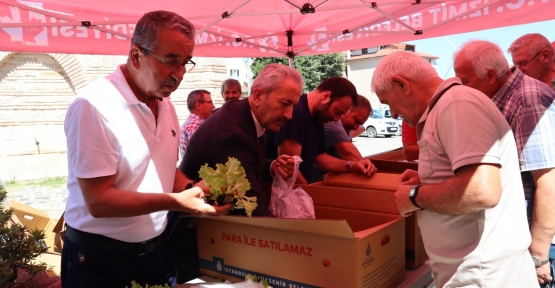 Akmeşe’de Vatandaşlara Binlerce Fide Dağıtıldı