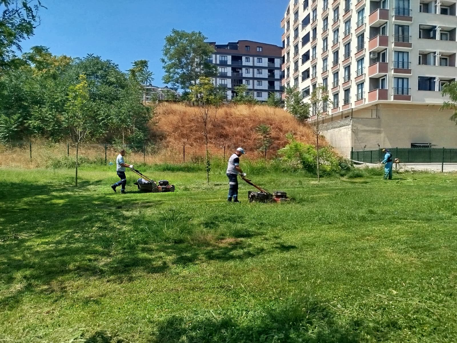 Gebze Tatlıkuyu Vadisi Kent Parkı’na Düzenli Bakım