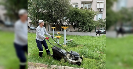 Körfez’de Yeşil Alan Bakımları Sürüyor
