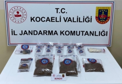 YÜZLERCE GENCİ ZEHİRLEYECEKLERDİ, JANDARMA NARKOTİK TİMLERİ YAKALADI