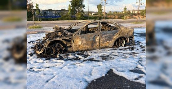 MOTOR ARIZASI VEREN YABANCI PLAKALI ARACINI GÜMRÜKTEN GEÇİREMEYİNCE YAKTI