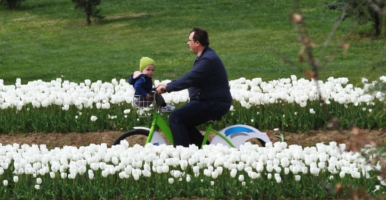 KOBİS İle 179 Bin Vatandaş Yazın Tadını Çıkardı