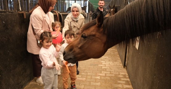 Minikler, Hayvanları Koruma Günü’nde Atlarla Buluştu
