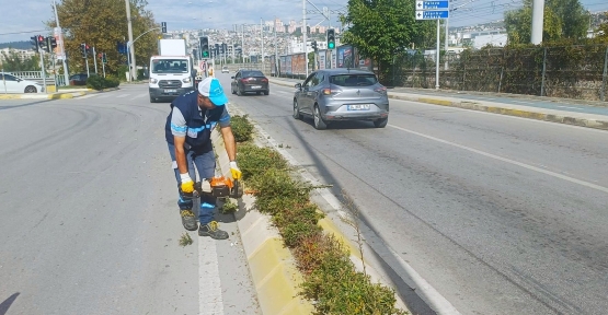 Salim Dervişoğlu Caddesi’nde Sonbahar Budaması