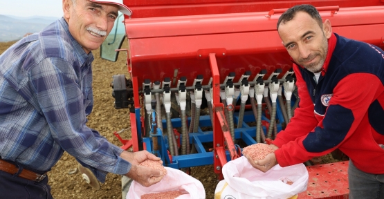 Büyükşehir’in Hibeli Tohumları Toprakla Buluştu