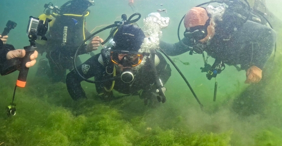 Dipten Dirilişe Canlı Tanıklık