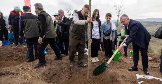 Karamürsel’de Yanan Bölge 3 Bin Fidanla Yeniden Yeşerecek