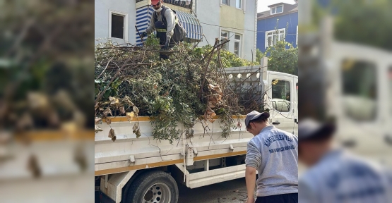 Körfez’de Yeşil Alanlara Bakım