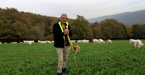 SÜT OTU DESTEĞİ MERALARI BEREKETE KAVUŞTURDU