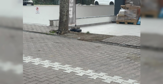 ÇÖPE ATMAK İÇİN YERDEN ALDIĞI KARGO POŞETİNİN İÇİNDEN 60 BİN DOLAR ÇIKTI