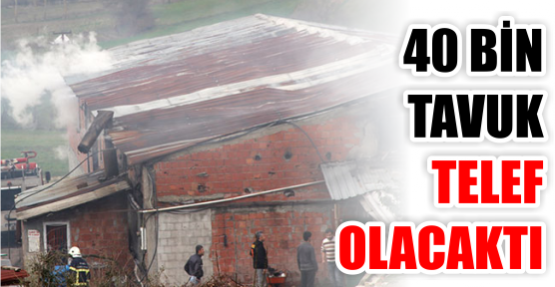 40 BİN TAVUK TELEF OLACAKTI