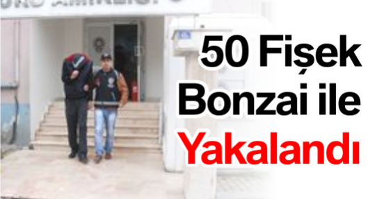 50 Fişek Bonzai ile Yakalandı