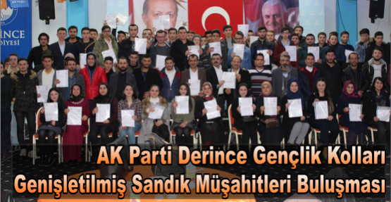 AK Parti Derince Gençlik Kolları Genişletilmiş Sandık Müşahitleri Buluşması