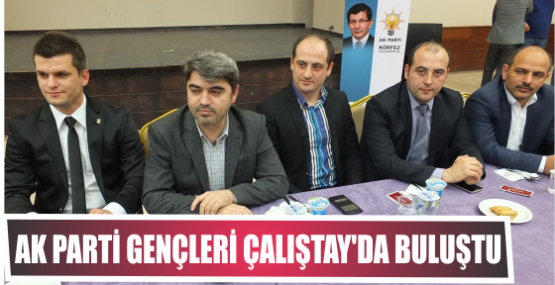 Ak Parti Gençleri  Çalıştay’da buluştu