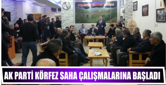 Ak Parti Körfez saha çalışmalarına Başladı.