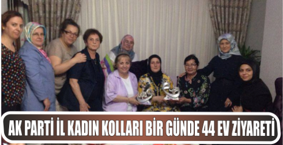 AK Partili kadınlardan 44 ev ziyareti